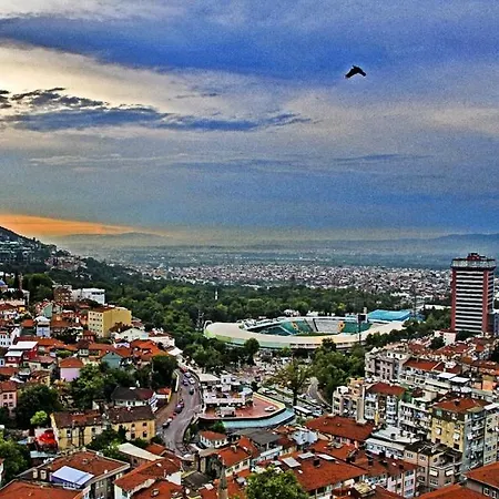 Uraz *